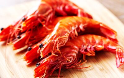Gamba roja